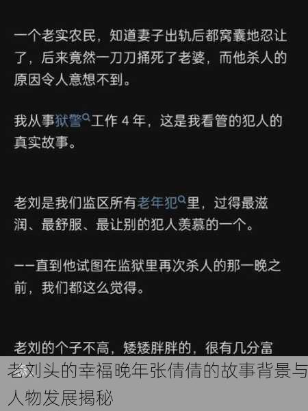 老刘头的幸福晚年张倩倩的故事背景与人物发展揭秘