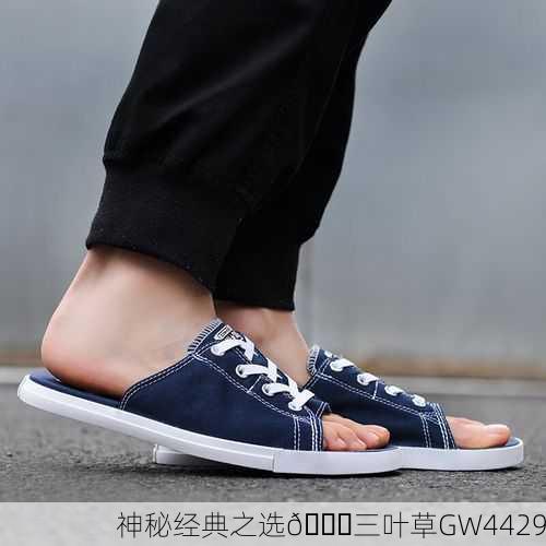神秘经典之选🌟三叶草GW4429