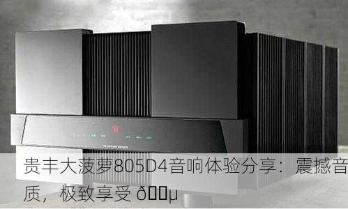 贵丰大菠萝805D4音响体验分享：震撼音质，极致享受 🎵