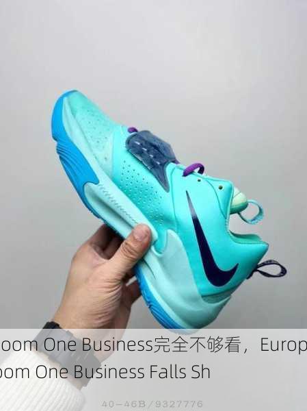 欧洲Zoom One Business完全不够看，Europe's Zoom One Business Falls Short