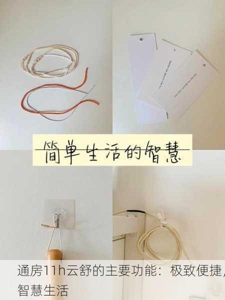 通房11h云舒的主要功能：极致便捷，智慧生活