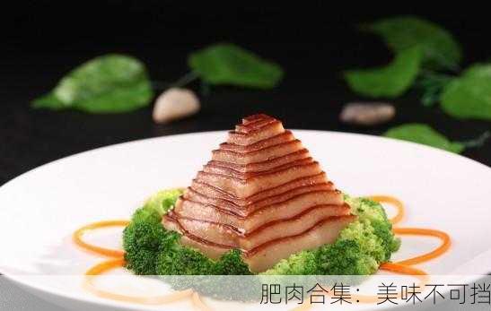 肥肉合集：美味不可挡