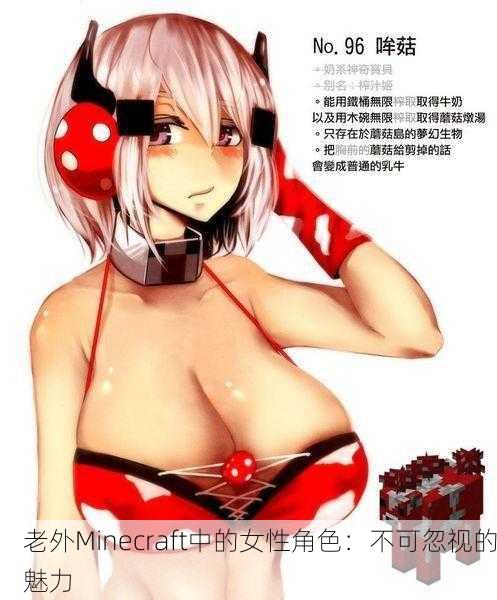 老外Minecraft中的女性角色：不可忽视的魅力