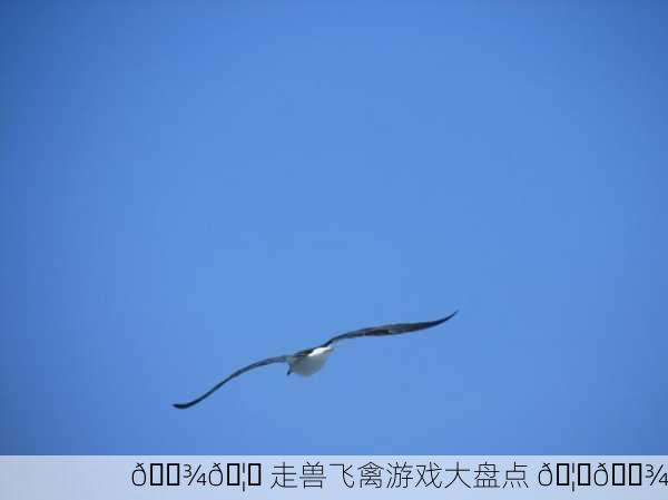 🐾🦅 走兽飞禽游戏大盘点 🦅🐾