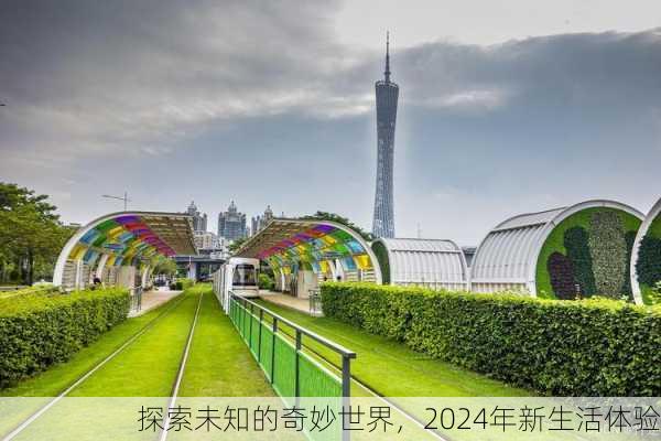 探索未知的奇妙世界，2024年新生活体验