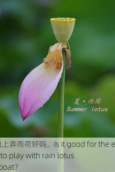 老人船上弄雨荷好吗，Is it good for the elderly to play with rain lotus on a boat？