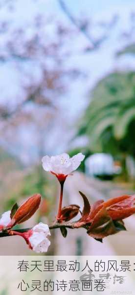 春天里最动人的风景：心灵的诗意画卷
