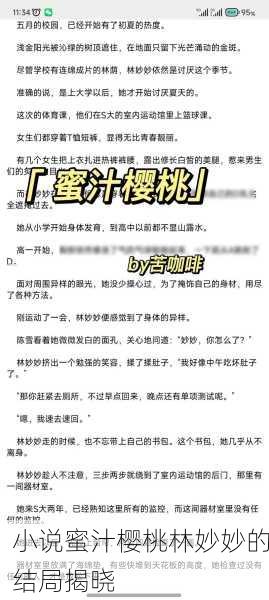 小说蜜汁樱桃林妙妙的结局揭晓