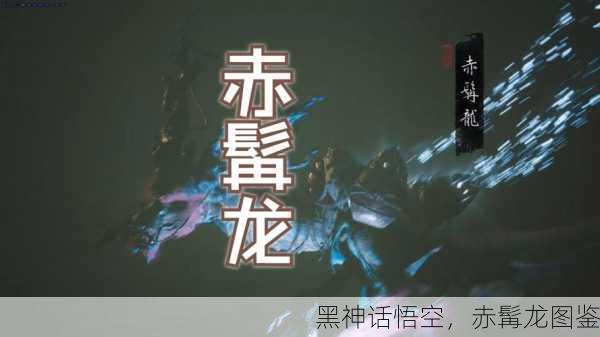 黑神话悟空，赤髯龙图鉴