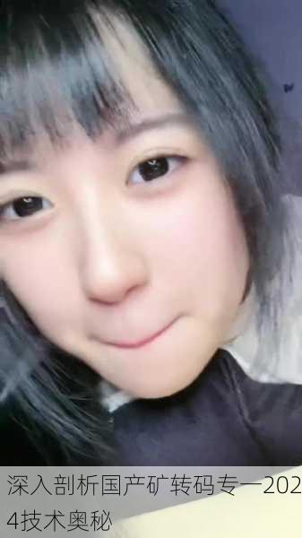 深入剖析国产矿转码专一2024技术奥秘