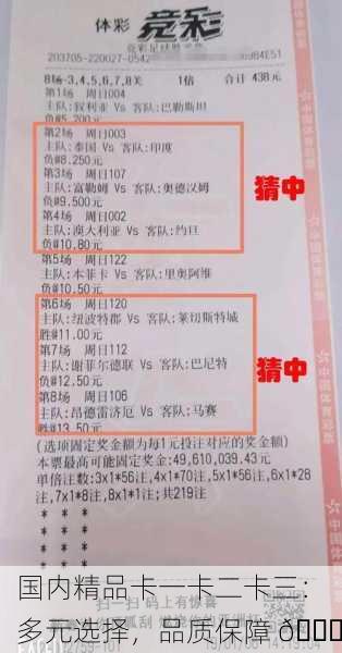 国内精品卡一卡二卡三：多元选择，品质保障 🎉