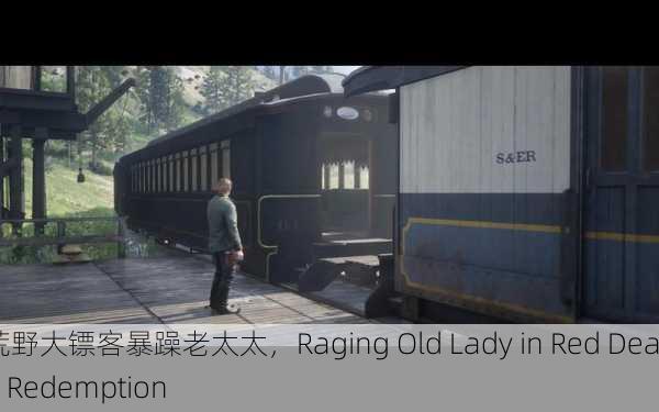 荒野大镖客暴躁老太太，Raging Old Lady in Red Dead Redemption