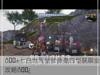 🌱七日世界壁挂藤蔓四型获取全攻略🌿