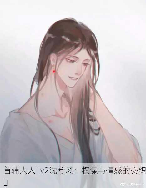 首辅大人1v2沈兮风：权谋与情感的交织✨