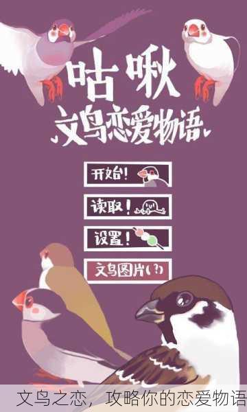 文鸟之恋，攻略你的恋爱物语