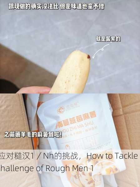 如何应对糙汉1／Nh的挑战，How to Tackle the Challenge of Rough Men 1／Nh