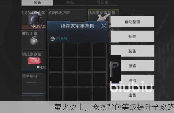 萤火突击，宠物背包等级提升全攻略