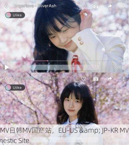 欧美MV日韩MV国产站，EU-US & JP-KR MV Domestic Site