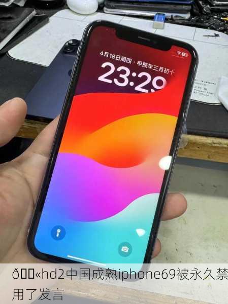 🚫hd2中国成熟iphone69被永久禁用了发言