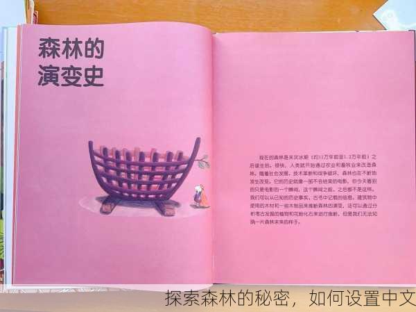 探索森林的秘密，如何设置中文