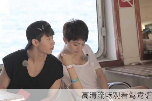 高清流畅观看鸳鸯谱