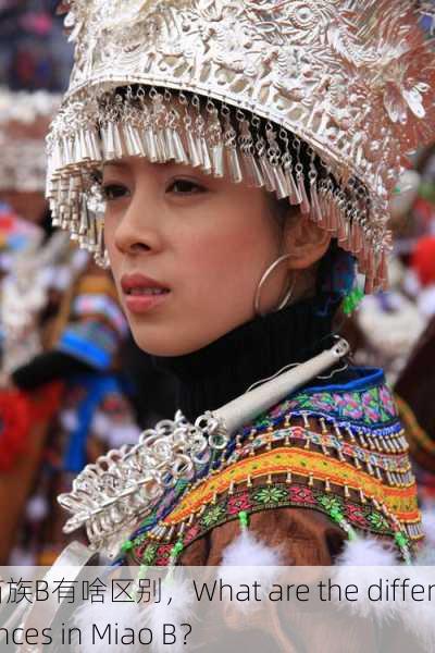 苗族B有啥区别，What are the differences in Miao B？