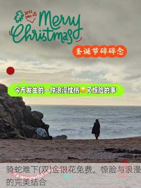 骑蛇难下(双)金银花免费，惊险与浪漫的完美结合