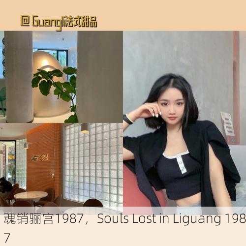 魂销骊宫1987，Souls Lost in Liguang 1987
