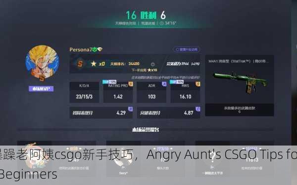 暴躁老阿姨csgo新手技巧，Angry Aunt's CSGO Tips for Beginners