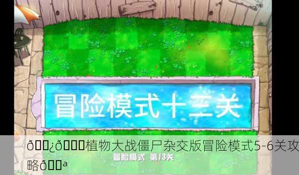 🌿💎植物大战僵尸杂交版冒险模式5-6关攻略💪