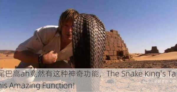 蛇王的尾巴高ah竟然有这种神奇功能，The Snake King's Tail Has This Amazing Function!