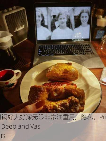 铜铜铜铜铜铜铜铜好大好深无限非常注重用户隐私，Privacy Matters： Deep and Vast Copper Insights