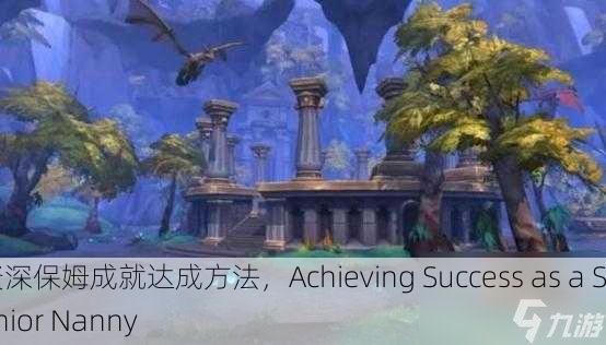 资深保姆成就达成方法，Achieving Success as a Senior Nanny