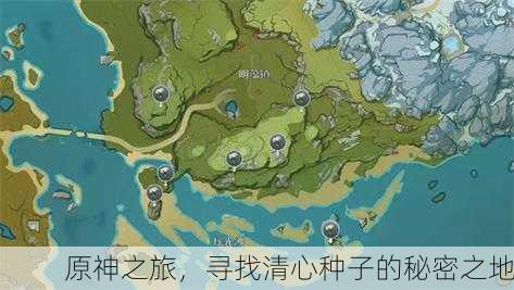 原神之旅，寻找清心种子的秘密之地