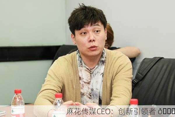 麻花传媒CEO：创新引领者 🚀