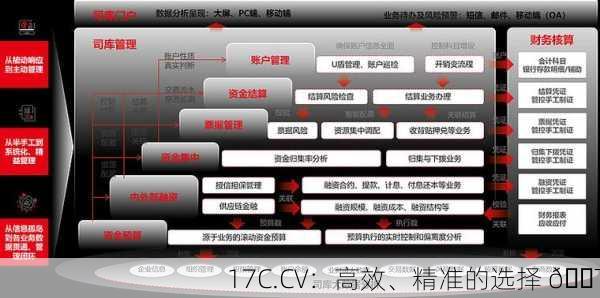 17C.CV：高效、精准的选择 🎯