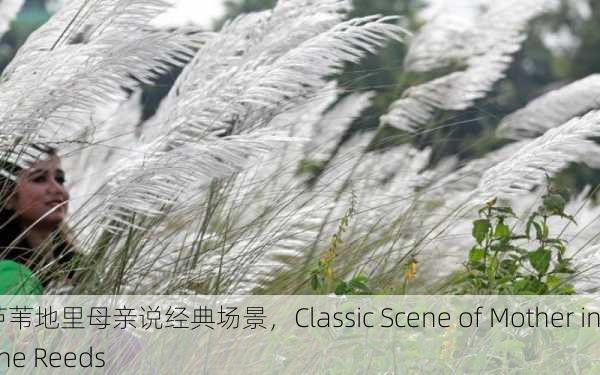芦苇地里母亲说经典场景，Classic Scene of Mother in the Reeds