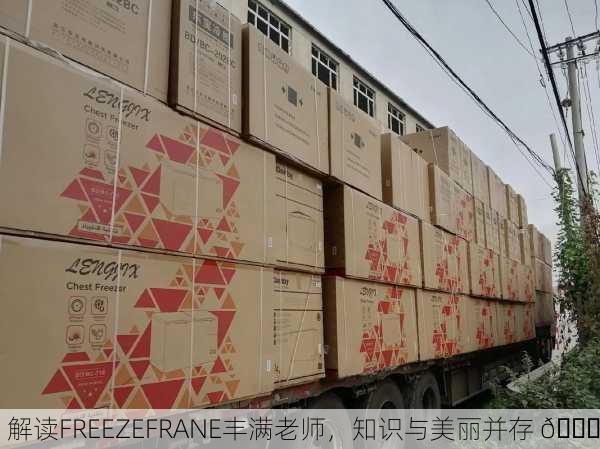 解读FREEZEFRANE丰满老师，知识与美丽并存 🌟