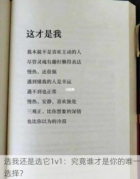 选我还是选它1v1：究竟谁才是你的唯一选择？