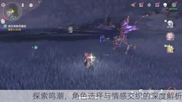 探索鸣潮，角色选择与情感交织的深度解析