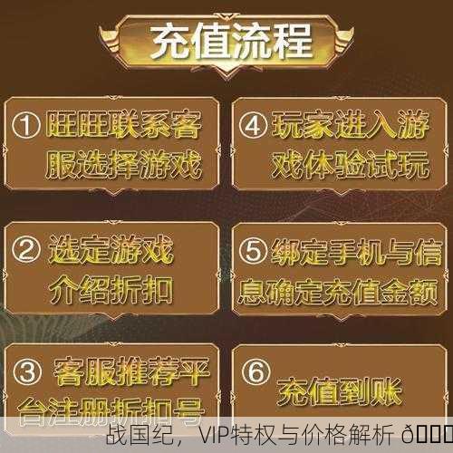 战国纪，VIP特权与价格解析 📊