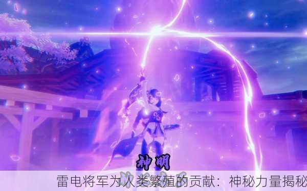 雷电将军为人类繁殖的贡献：神秘力量揭秘