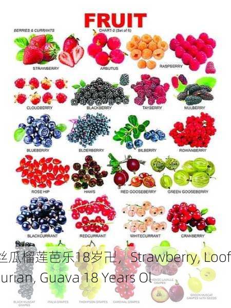草莓丝瓜榴莲芭乐18岁卍，Strawberry, Loofah, Durian, Guava 18 Years Old 卍