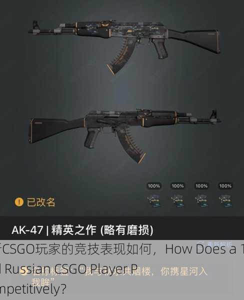 17岁俄罗斯CSGO玩家的竞技表现如何，How Does a 17-Year-Old Russian CSGO Player Perform Competitively？
