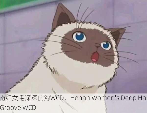 河南妇女毛深深的沟WCD，Henan Women's Deep Hairy Groove WCD