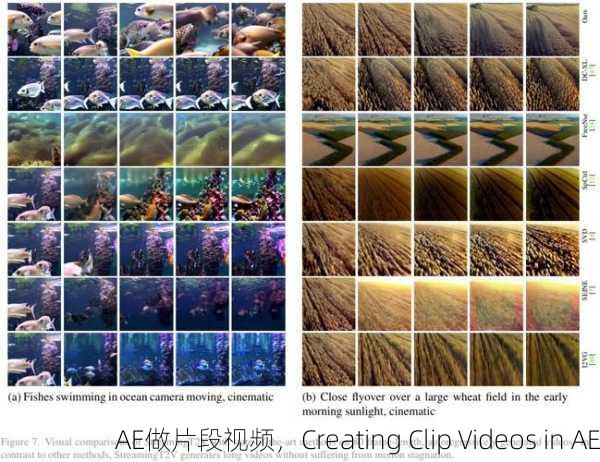 AE做片段视频，Creating Clip Videos in AE
