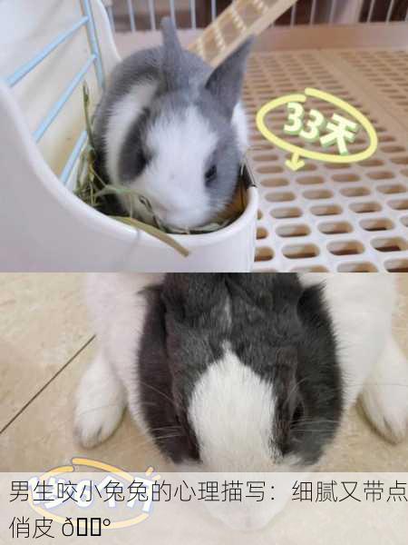 男生咬小兔兔的心理描写：细腻又带点俏皮 🐰