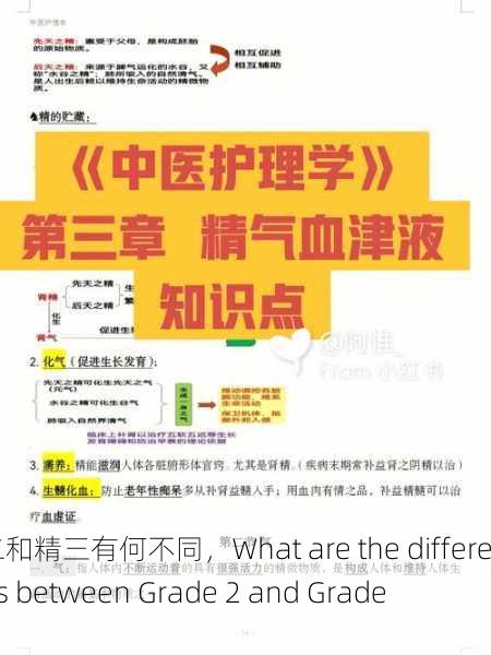 精二和精三有何不同，What are the differences between Grade 2 and Grade 3？