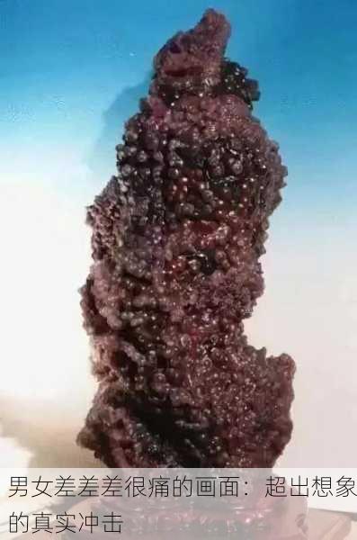 男女差差差很痛的画面：超出想象的真实冲击