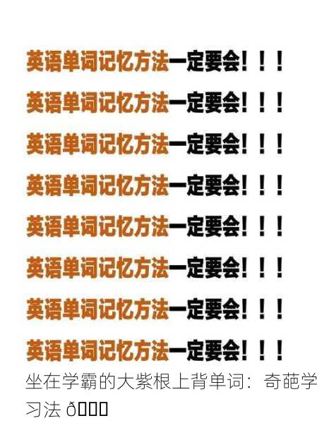 坐在学霸的大紫根上背单词：奇葩学习法 😂